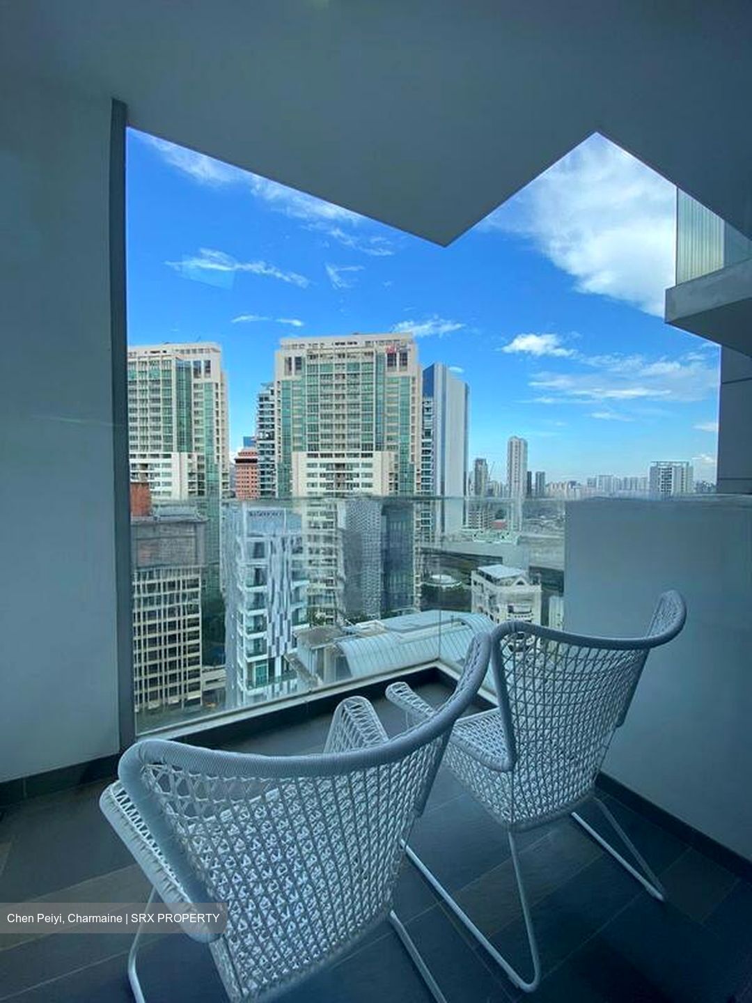26 Newton (D11), Apartment #465479371